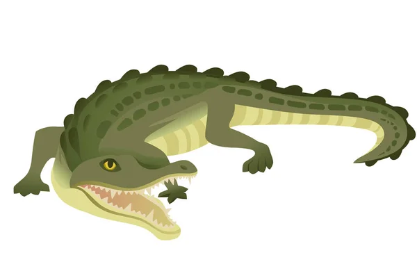 Crocodile Vert Personnage Gros Carnivore Reptile Dessin Animé Animal Conception — Image vectorielle