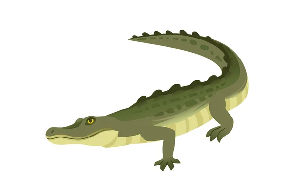 Зелений Крокодил Характер Великий Ясоїдний Рептилій Мультфільм Дизайн Тварин Плоский — стоковий вектор