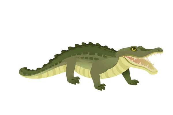 Zelená Krokodýlí Znak Velký Masožravec Plazí Karikatura Zvířecí Design Plochý — Stockový vektor