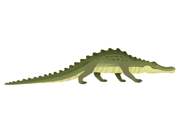 Personaje Cocodrilo Verde Gran Carnívoro Reptil Dibujos Animados Animal Diseño — Vector de stock