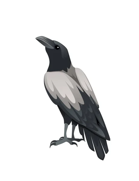 Predatory Bird Adult Black Gray Crow Cartoon Animal Design Birds — Stock Vector
