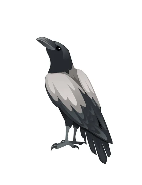 Raubvogel Erwachsene Schwarz Und Grau Krähe Cartoon Tier Design Raubvögel — Stockvektor