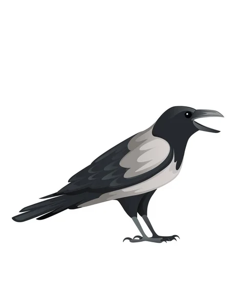 Yırtıcı Kuş Yetişkin Siyah Gri Karga Çizgi Film Hayvan Tasarımı — Stok Vektör