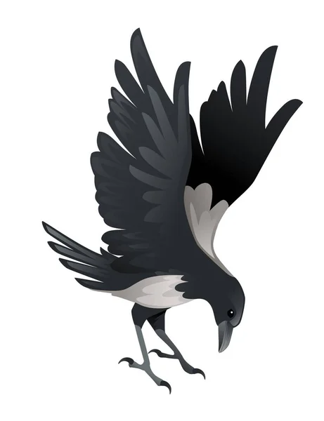 Хищная Птица Взрослый Черный Серый Ворон Мультяшный Рисунок Животного Дизайн — стоковый вектор