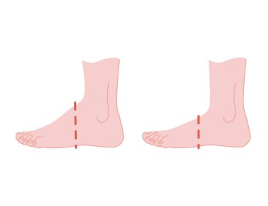Farklı boyutlarda humas foot stand düz vektör çizimi beyaz arka planda