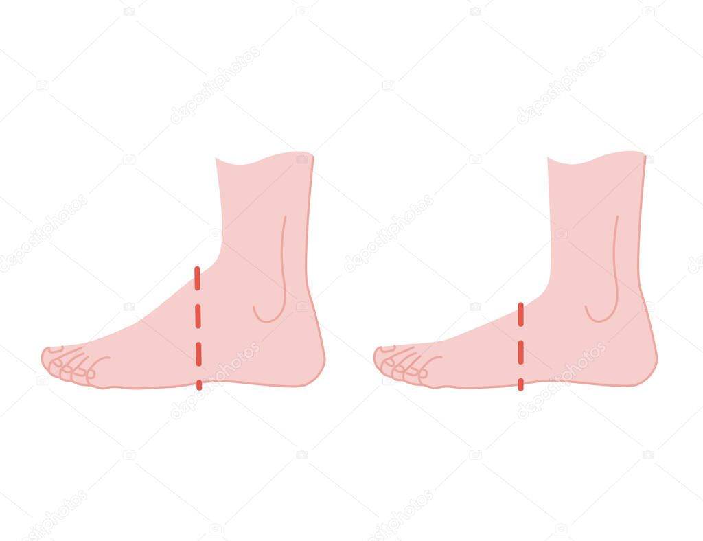 Different sizes humas foot stand flat vector illustration on white background
