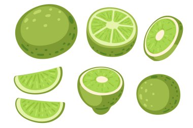 Limonlu meyve koleksiyonu. Yeşil narenciye ve dilimlenmiş kısımlar. Dokulu kabuklu taze ekşi tropikal meyve. C vitamini, sağlıklı elementler. Vektör illüstrasyonu beyaz arkaplanda izole edildi.