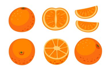 Turuncu turunçgil koleksiyonu. Bütün meyveler, yarımlar ve dilimli dilimler. Kabuklu taze ve sulu elementler. Düz stil sağlıklı vitamin yiyecekler. Vektör illüstrasyonu beyaz arkaplanda izole edildi.