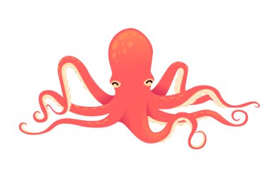 Sekiz dokunaçlı klasik ahtapot pozu. Geniş kollu kırmızı sefalopod vakum bardaklarını gösteriyor. Geleneksel deniz yaratığı çizimi. Vektör illüstrasyonu beyazda izole edildi.