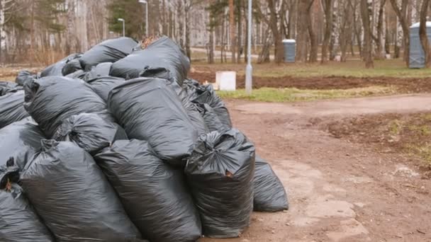 Primer plano de bolsas de basura negra apiladas en el parque de la ciudad . — Vídeo de stock