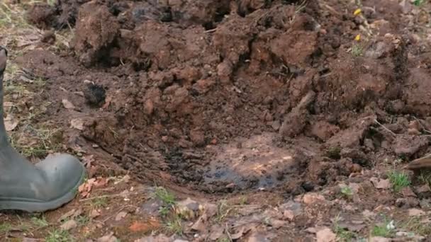 Lastik çizmeler içinde iki kişi yere kürek ile kazmak. Eller yakın çekim. Bahçe, bahar eser. — Stok video