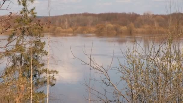 Hermoso paisaje con río y bosque en la puesta de sol de primavera . — Vídeo de stock