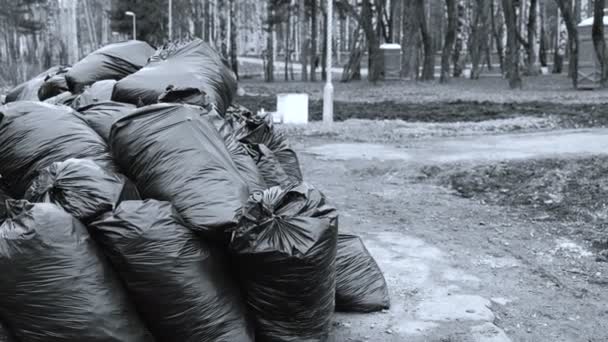 Крупним планом чорні сміттєві пакети зібралися в міському парку. Чорно-білий . — стокове відео