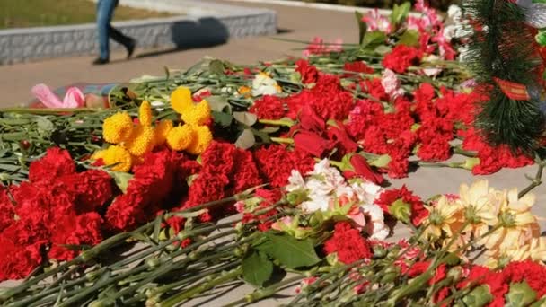 Blommor placerade på ett monument för Segerdagen världskriget. — Stockvideo