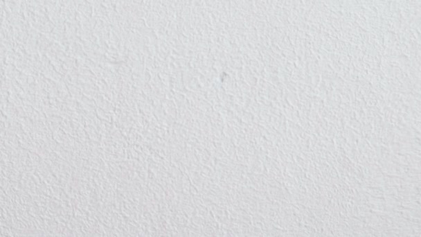 Textura branca da parede da pintura. Borrão . — Vídeo de Stock
