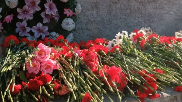Flores colocadas em um monumento do dia de vitória da guerra mundial . — Vídeo de Stock