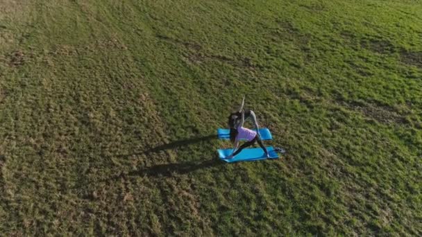 Duas raparigas a esticar-se em tapetes no campo. Vista panorâmica aérea . — Vídeo de Stock