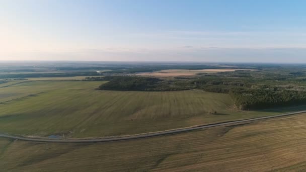 Volo sopra la campagna campi verdi, foresta e villaggio all'inizio della primavera, vista panoramica aerea . — Video Stock