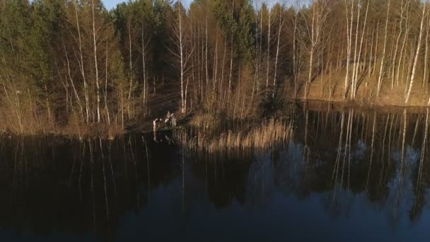 Az emberek az erdőben a folyón horgászhatnak. Repülő légi videóinak. — Stock videók