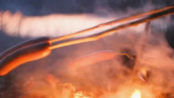 People fry sausages on a fire in the woods at night. Close-up sausages. — Stock Video