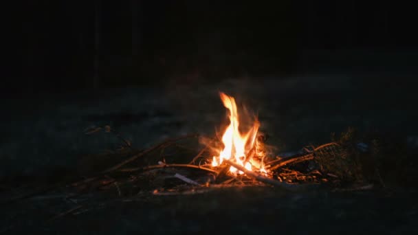 Niño de siete años enciende un fuego en el bosque . — Vídeo de stock