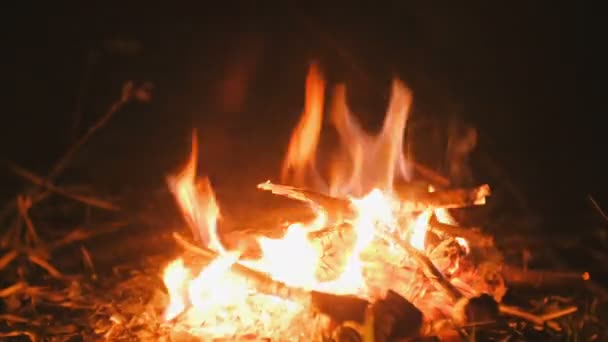 Brinnande bål av torra grenar i skogen närbild på natten. — Stockvideo