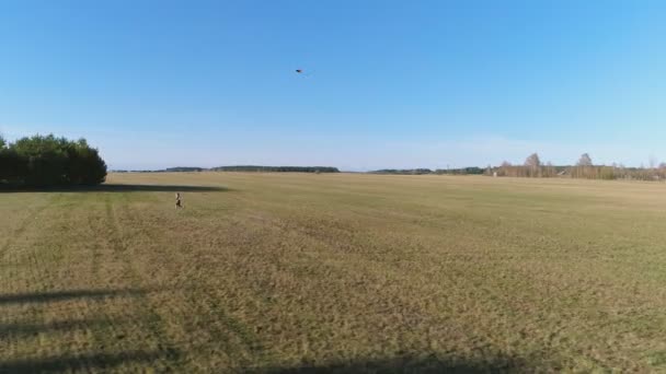 Joven lanza una cometa y corre con él a través del campo. Vista panorámica aérea . — Vídeo de stock