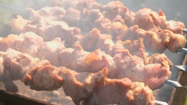 Smakelijk sappig varkensvlees barbecue is gebrand op een spies bovenop de houtskool barbecue. Stukken vlees close-up. — Stockvideo