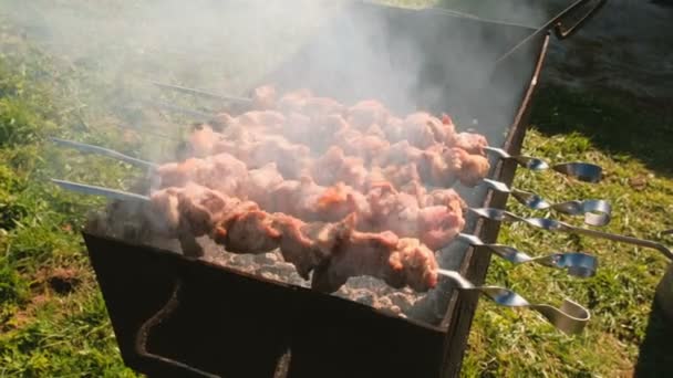 开胃多汁猪肉烧烤是烤在烧烤上的烤肉串 特写肉片 — 图库视频影像