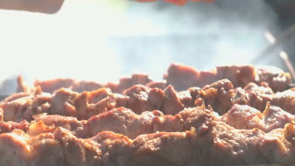 Woman tears a piece of meat pork barbecue roasted on skewers on top of charcoal grill. Pieces of meat and womans hand close-up. — Stock Video