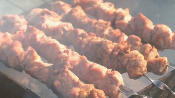 Étvágygerjesztő lédús sertés barbecue pörkölt tetején faszén grill nyárs. Közelkép húsdarab. — Stock videók