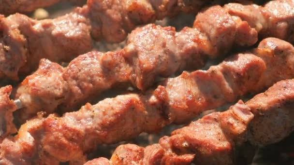 O churrasco de porco suculento e apetitoso é assado em espetos no topo da grelha de carvão vegetal. Pedaços de carne close-up . — Vídeo de Stock