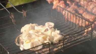 İştah açıcı soğan ve sulu domuz Barbekü üstünde tepe-in kömür ızgara şiş üzerinde kavrulmuş. Yakın çekim et parçaları.