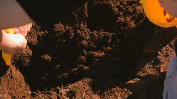 Vader en zoon graven de grond met een kunststof schop op zoek naar regenwormen voor de visserij. Close-up handen. — Stockvideo