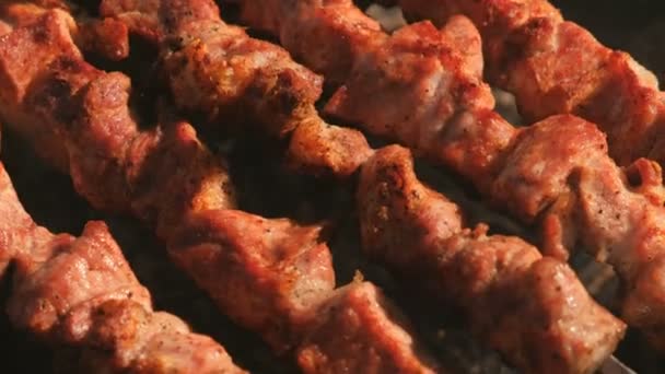 L'appetitoso barbecue di maiale viene arrostito sugli spiedini sulla griglia a carbone. Pezzi di carne da primo piano . — Video Stock