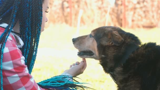 Mom and son pet the dog outside. Close-up faces. — Stock Video