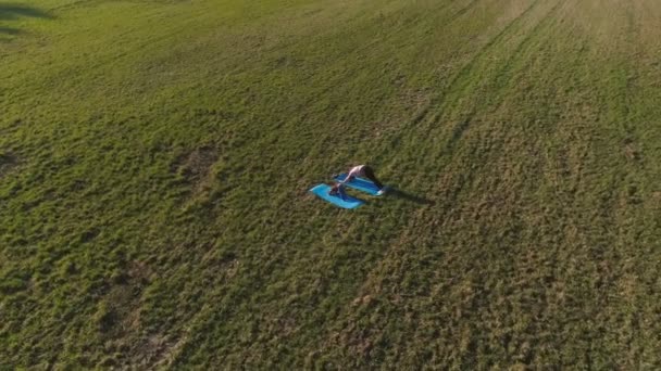 Mamma med sin lilla dotter stretching på mattan på fältet i varm sommardag. Panoramautsikt över Flygfoto. — Stockvideo