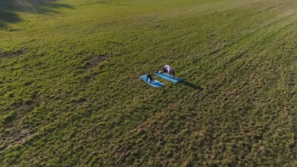 Mutter mit ihrer kleinen Tochter, die sich an warmen Sommertagen auf der Matte auf dem Feld dehnt. Luftaufnahme. — Stockvideo