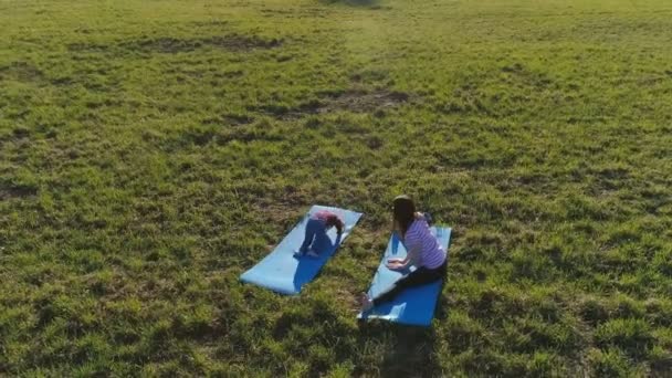 Mom with her little daughter stretching on the mat on the field in warm summer day. Aerial panoramic view. — Stock Video