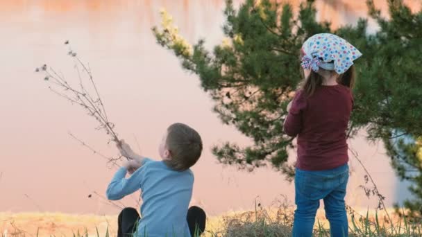 Ragazzo raccoglie fiori secchi e li dà alla bambina. Bellissimo tramonto in natura in primavera . — Video Stock