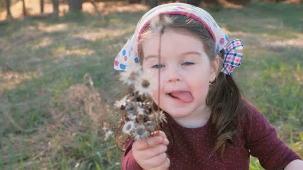 Malá roztomilá holka usměje a ukazuje suché kytice na fotoaparátu. Dětství v obci. — Stock video