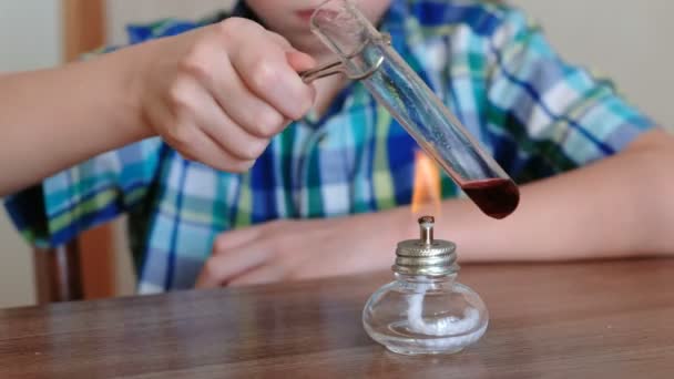 Experimenten op chemie thuis. Closeup jongens handen heats de proefbuis met rode vloeistof op het branden van alcohol lamp. — Stockvideo
