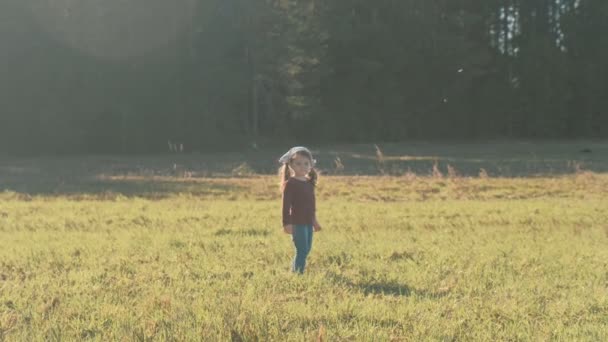 Hermana y hermano caminando juntos y jugando en el prado cerca del bosque . — Vídeos de Stock