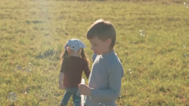 Hermano y hermana hacen burbujas de jabón en un prado y juegan en un cálido día de primavera . — Vídeos de Stock