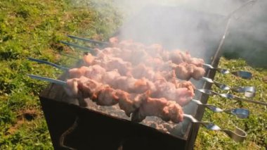 İştah açıcı sulu domuz Barbekü üstünde tepe-in kömür ızgara şiş üzerinde kavrulmuş. Yakın çekim et parçaları.