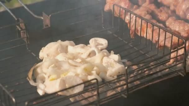 Appetizing onion and juicy pork barbecue is roasted on skewers on top of charcoal grill. Close-up onion on grill. — Stock Video