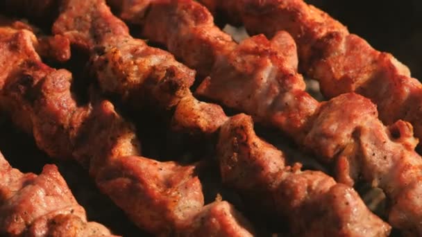 Appetizing juicy pork barbecue is roasted on skewers on top of charcoal grill. Close-up meat pieces. — Stock Video