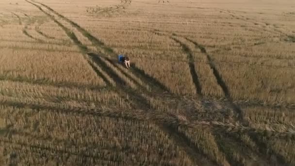 Сумний втомлений молодий чоловік сидить на стільці в полі. Панорамний вид з повітря . — стокове відео