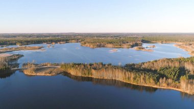 Güzel manzara orman ve günbatımı gölette. Bahar güzel güneş ışığı. Havadan görünümü fotoğraf.