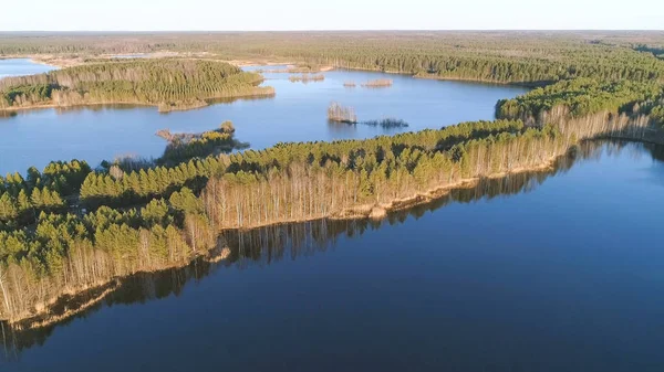 Picturesque landscape with forest and pond at sunset. Beautiful sunlight in spring. Aerial view photo. — Stock Photo, Image